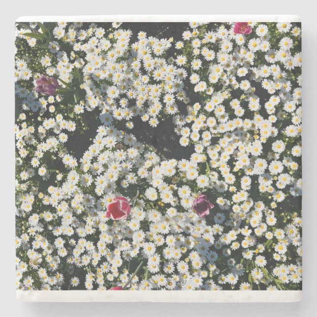 Porta-copo De Pedra Conjunto de Pires Whimsical Daisy Meadow (Frente)