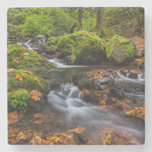 Porta-copo De Pedra Cor do outono ao longo da Starvation Creek Falls
