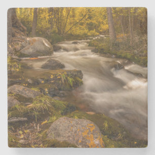 Porta-copo De Pedra Cores de outono no Crestone Creek