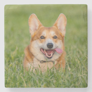 Porta-copo De Pedra Corgi Bonito Jogando na Grama