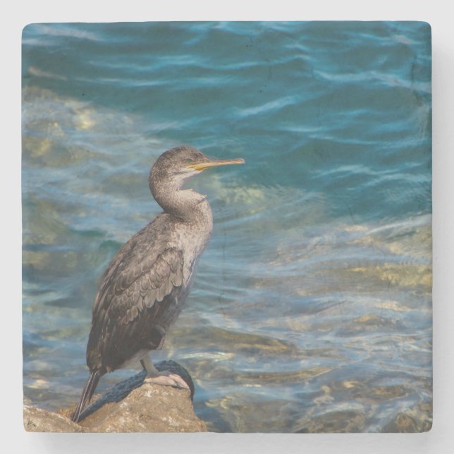 Porta-copo De Pedra Corvo-excelente Nas Rochas (Frente)