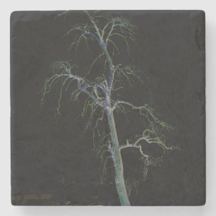 Porta-copo De Pedra Costa Escura 8