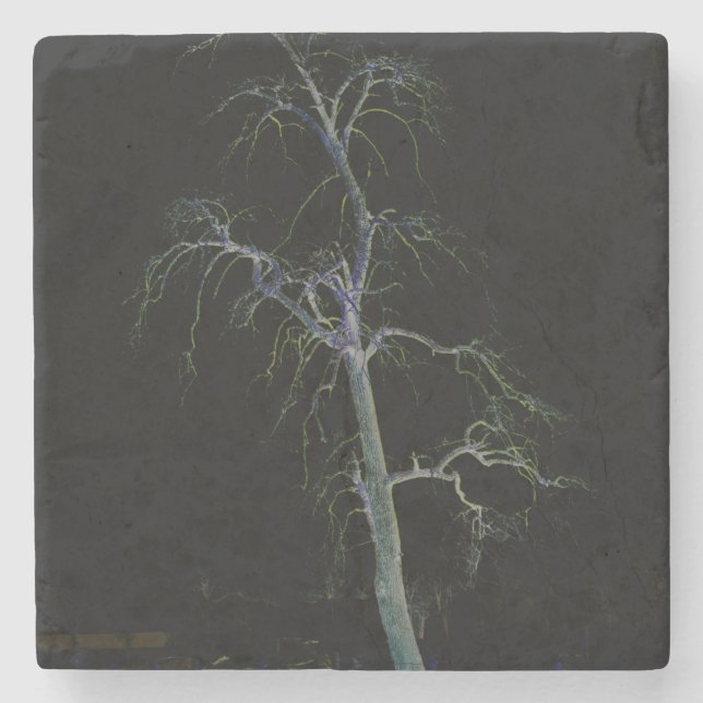 Porta-copo De Pedra Costa Escura 8 (Frente)