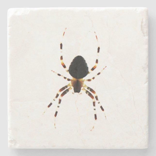Porta-copo De Pedra Costeira de aranha (Frente)