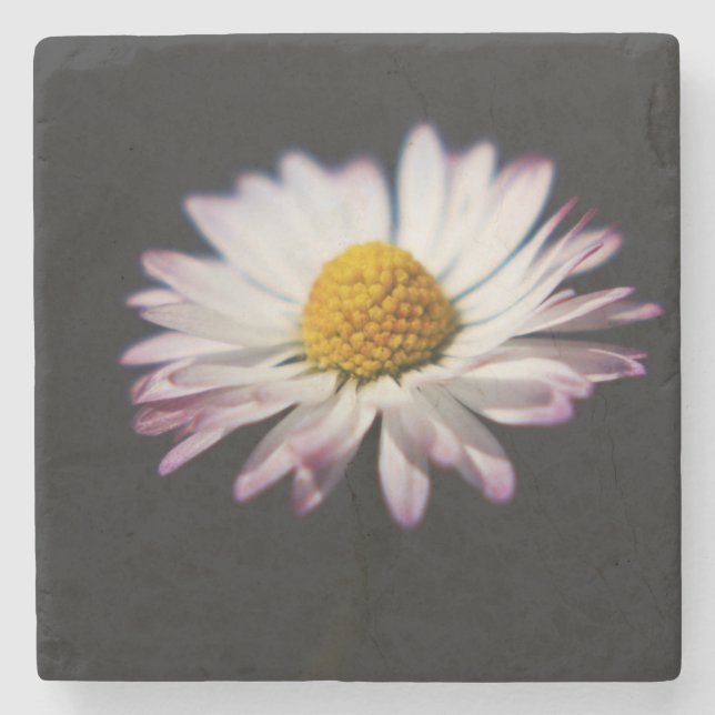 Porta-copo De Pedra Costura de Daisy (Frente)