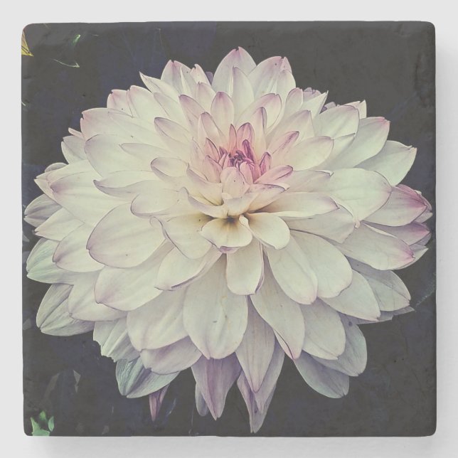 Porta-copo De Pedra Creme e flor rosa (Frente)