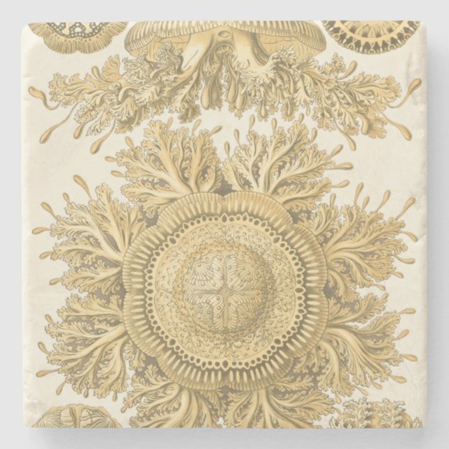 Porta-copo De Pedra Criaturas do Mar do ouro (Frente)