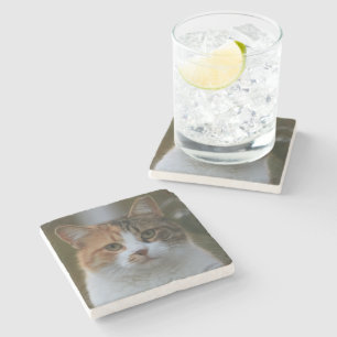 Porta-copo De Pedra Crie Sua Própria Foto Personalizada de Gato de Est