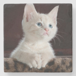 Porta-copo De Pedra Cristóvão Branco Vulnerável