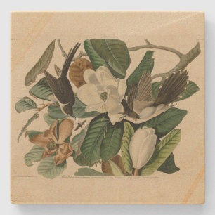 Porta-copo De Pedra Cuco-bico-preto - Aves da América de Audubon