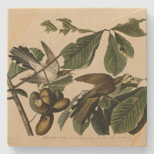Porta-copo De Pedra Cuco de bico amarelo - Aves da América de Audubon