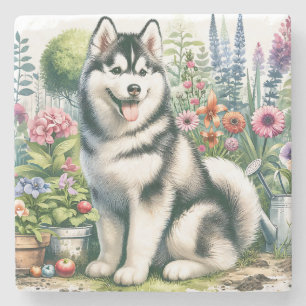 Porta-copo De Pedra Cute Siberian Husky