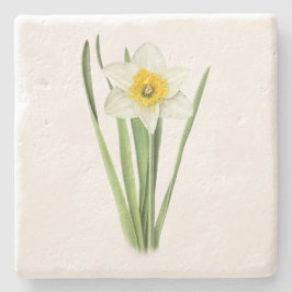 Porta-copo De Pedra Daffodil Flower
