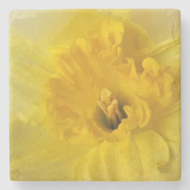 Porta-copo De Pedra daffodilo amarelo (Frente)