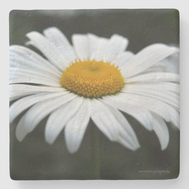 Porta-copo De Pedra Daisy - Enfrentar (Frente)