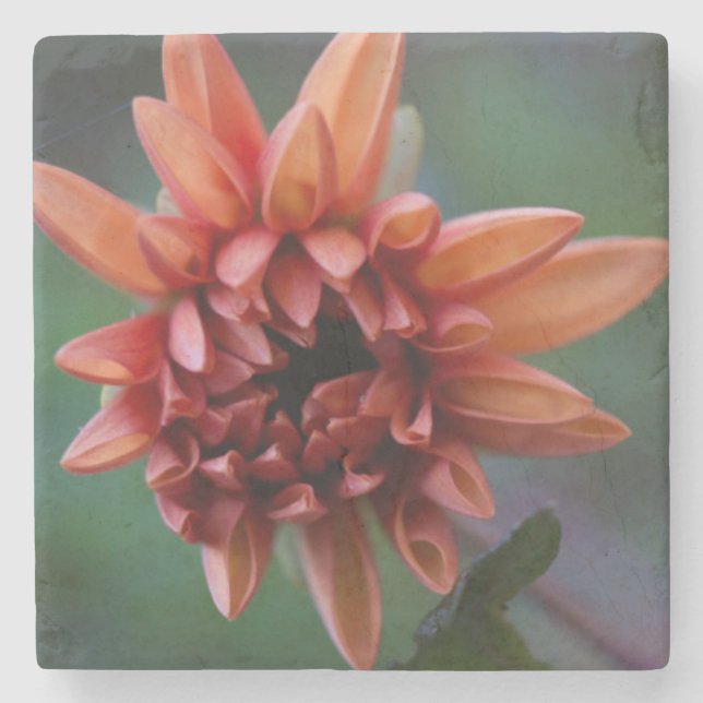 Porta-copo De Pedra Dália alaranjada II (Frente)