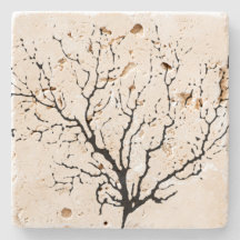 DESIGN DE AZULEJO DE BEBIDA