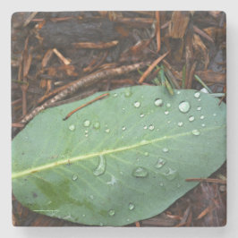 Porta-copo De Pedra Dew Dappled Leaf