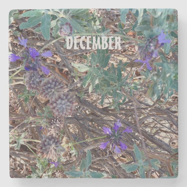 PORTA-COPO DE PEDRA DEZEMBRO (Frente)