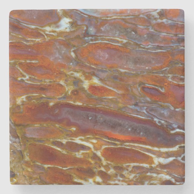 Porta-copo De Pedra Dinossauro Petrificado (Frente)