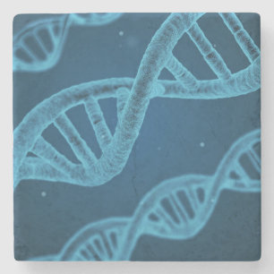 Porta-copo De Pedra DNA Double Helix