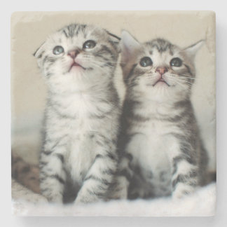 Porta-copo De Pedra Dois gatinhos bonitos