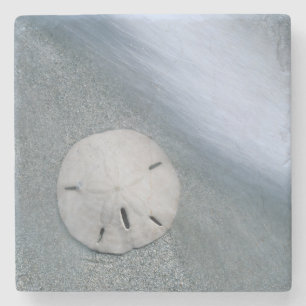 Porta-copo De Pedra Dólar-da-praia na Praia Ilha de Sanibel, Flórida