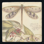 Porta-copo De Pedra Dragões com folhas e Frutas<br><div class="desc">As libélulas flutuam acima das folhas com fruta nesta peça do Vision Studio. O trio de insetos se mistura incrivelmente bem com seu fundo,  dando a essa impressão uma qualidade semelhante à vida. Peça sua cópia hoje!</div>