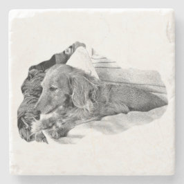 Porta-copo De Pedra Dutch Hound Resting – Graphic Coaster