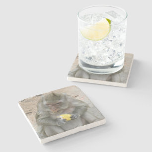 Porta-copo De Pedra É meu! ... Macaco Selvagem Tailandês