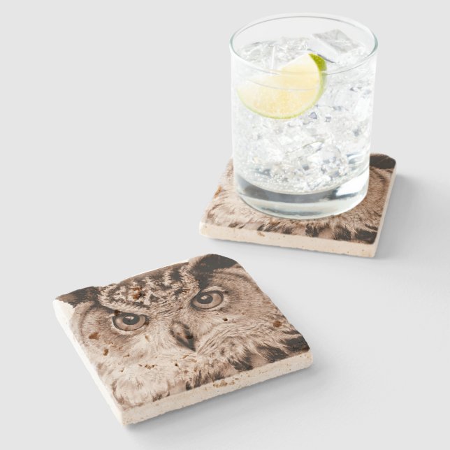 Porta-copo De Pedra Eagle Owl, Eurasian Eagle, porta copos de aquarela (Lateral)