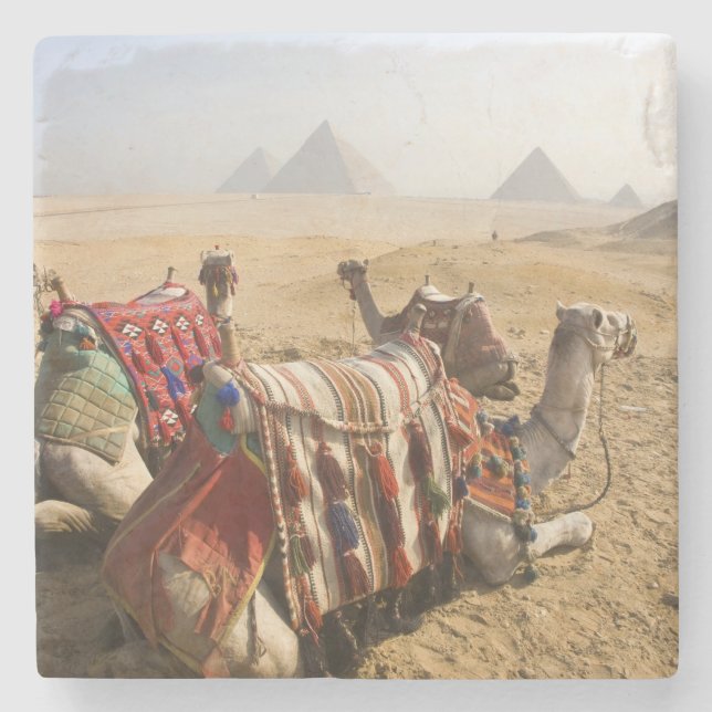 Porta-copo De Pedra Egito, Cairo. Camelos descansando (Frente)