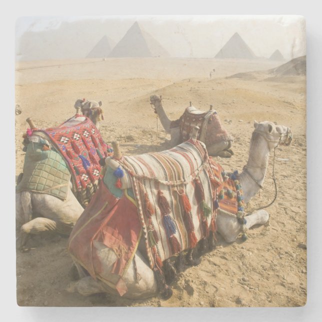 Porta-copo De Pedra Egito, Cairo. Camelos descansando (Frente)