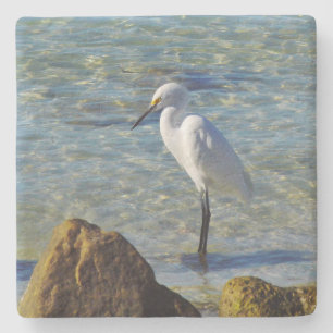 Porta-copo De Pedra Egret de Snowy White
