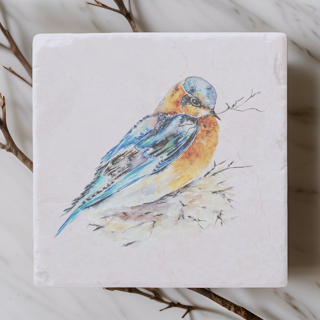 Porta-copo De Pedra Elegante Watercolor Bluebird Nature (Criador carregado)