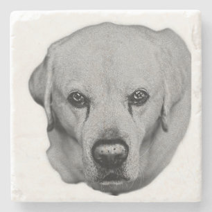 Porta-copo De Pedra Em Você, Sorvo Fácil