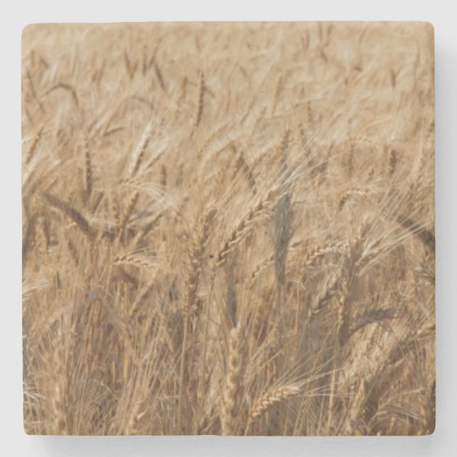 Porta-copo De Pedra Erick, Oklahoma Rota 66 (Frente)