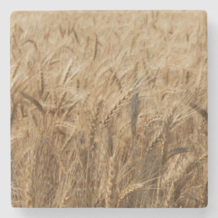 Porta-copo De Pedra Erick, rota 66 de Oklahoma