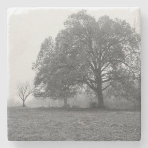 Porta-copo De Pedra Escala de Cinza de Manhã de outono