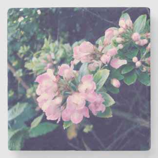 Porta-copo De Pedra Escallonia rosa Floral