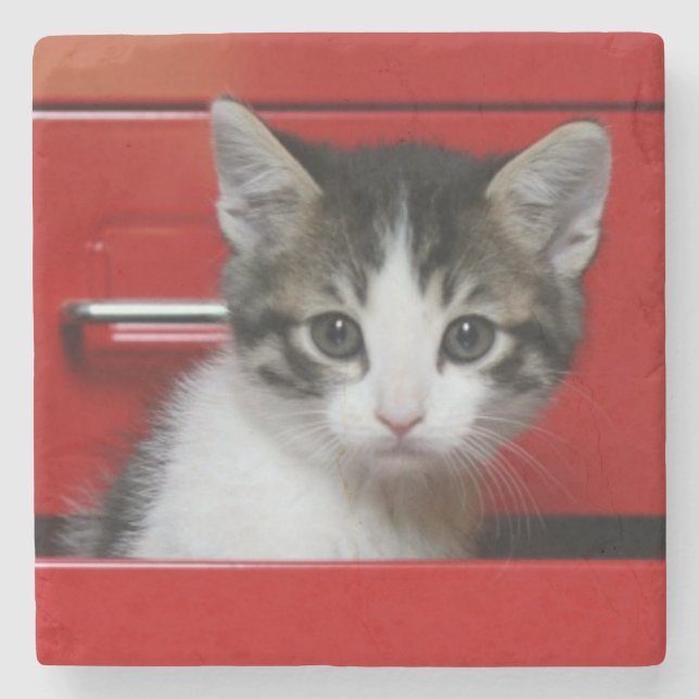 Porta-copo De Pedra Espreitar do gatinho (Frente)