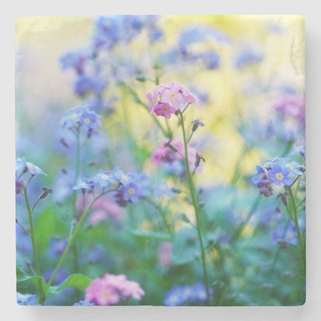 Porta-copo De Pedra Esqueçam-me-não-flores (Frente)