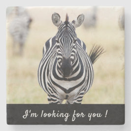 Porta-copo De Pedra Estou à tua procura, Zebra, com uma mensagem.