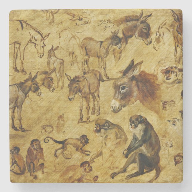 Porta-copo De Pedra Estudos de Animais: Macacos, Macacos, Gatos e Cães (Frente)