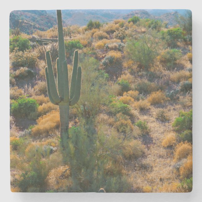 Porta-copo De Pedra EUA, Arizona. Desert View (Frente)