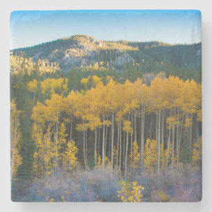Porta-copo De Pedra EUA, Colorado. Álamos Amarelos Brilhantes nas Mont