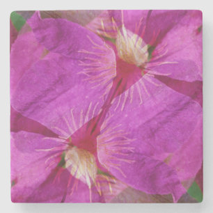 Porta-copo De Pedra EUA, Colorado, Boulder. Montagem de flores de Clem