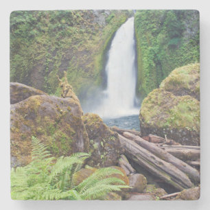 Porta-copo De Pedra EUA, Oregon, Columbia River Gorge, Wahclella