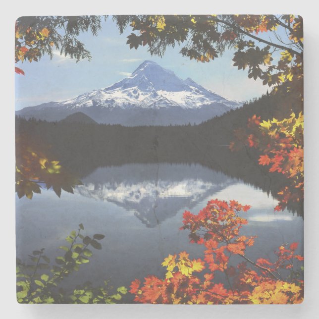 Porta-copo De Pedra EUA, Oregon, Floresta Nacional do Monte Hood. (Frente)