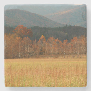 Porta-copo De Pedra EUA, Tennessee. Cades Cove In Enfumaçado Mountain